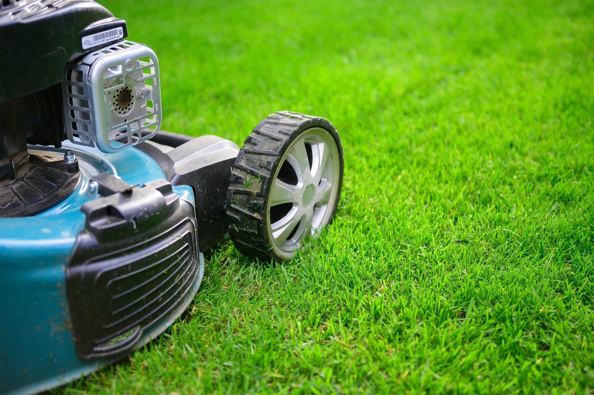Close-up of lawnmower on freshly cut green grass.