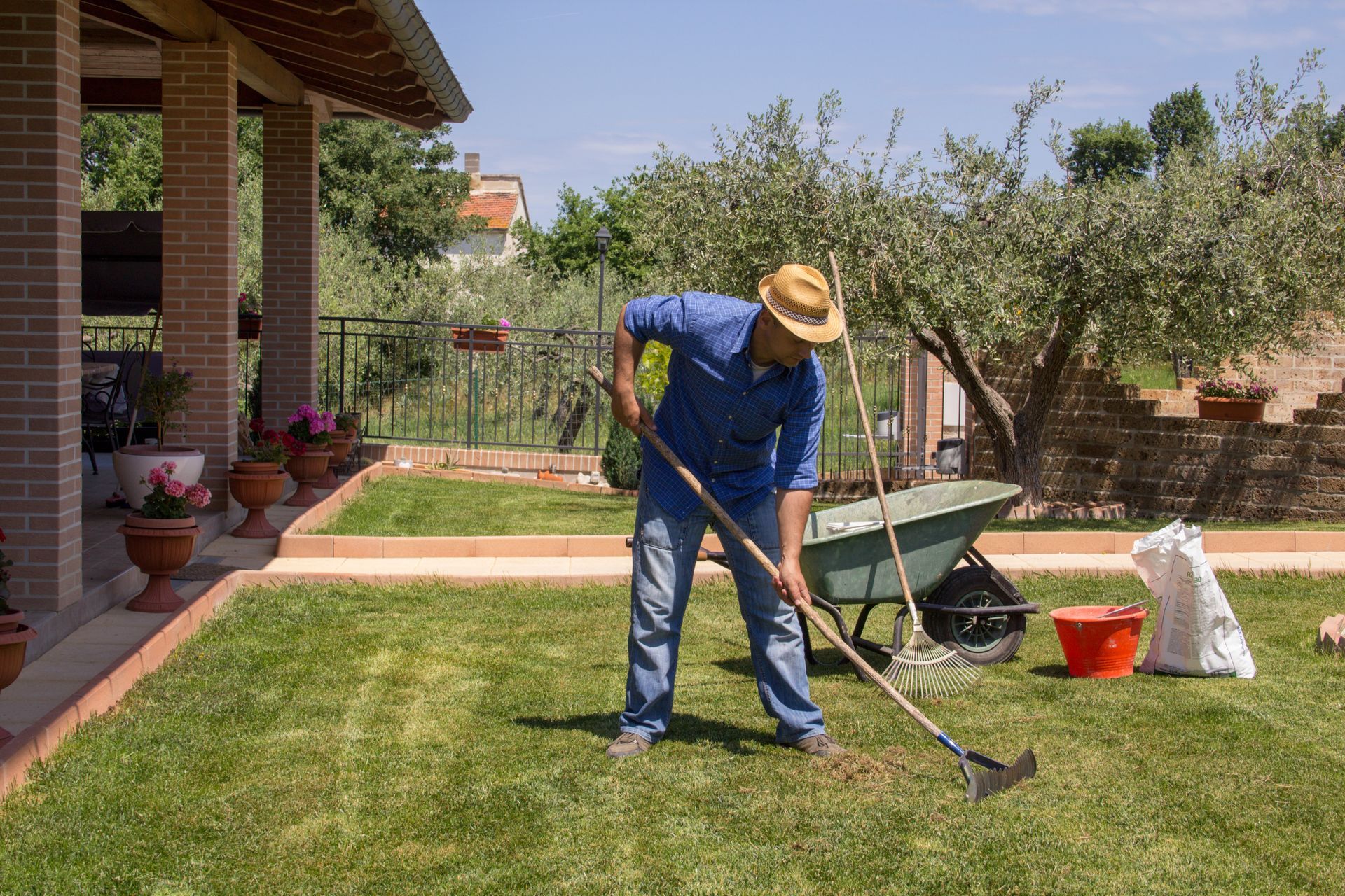A man is collecting dead grass from the lawn.