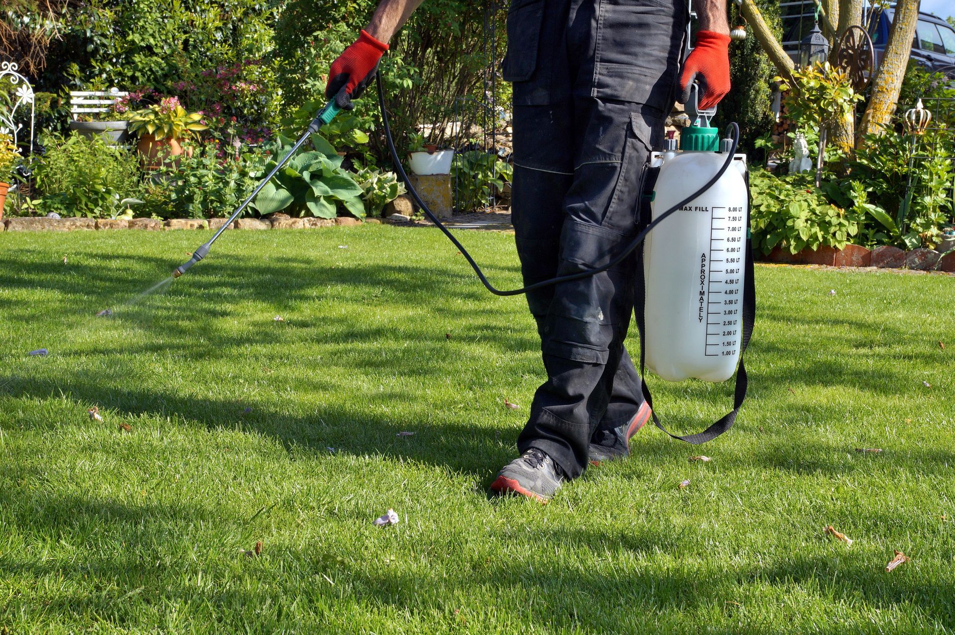 Lawn care specialist spraying weedicide during a routine weed control service.