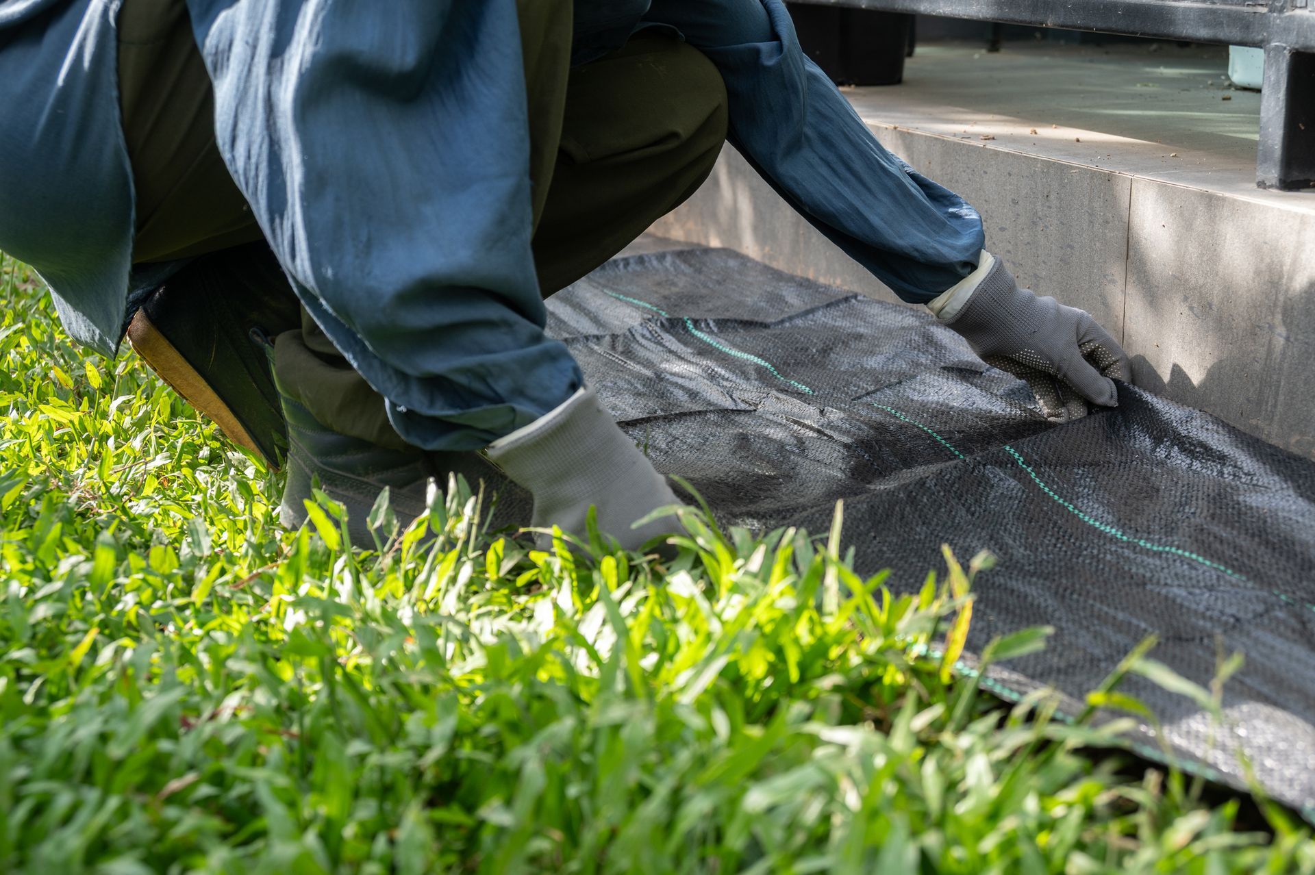 Gardener using black plastic sheeting to prevent weed growth in covered soil. Gardener using black plastic sheeting to prevent weed growth in covered soil.