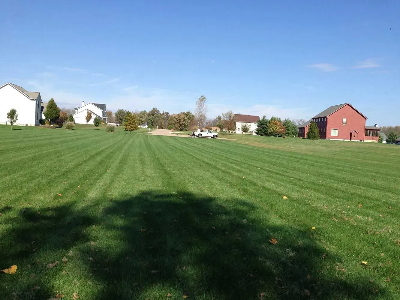 Lawn striped with mowing, suburban houses in the background, bright blue sky.
