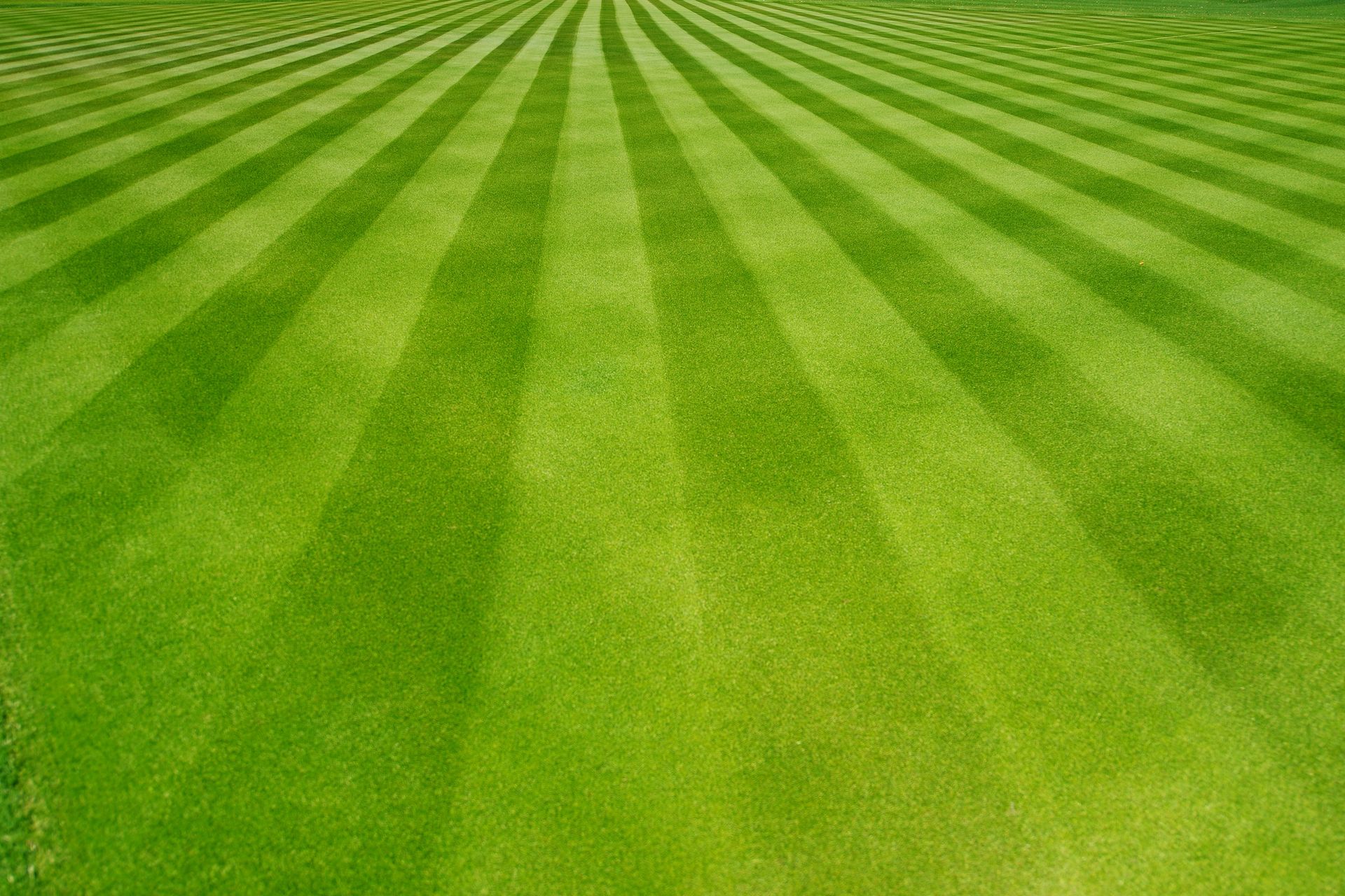Striped green lawn after professional lawn care treatment in New Albany, OH.