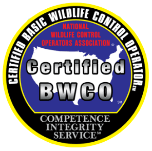 Michigan Wildlife Solutions - A sticker that says certified bwco competence integrity service