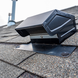 Michigan Wildlife Solutions - A black roof vent is sitting on top of a shingle roof