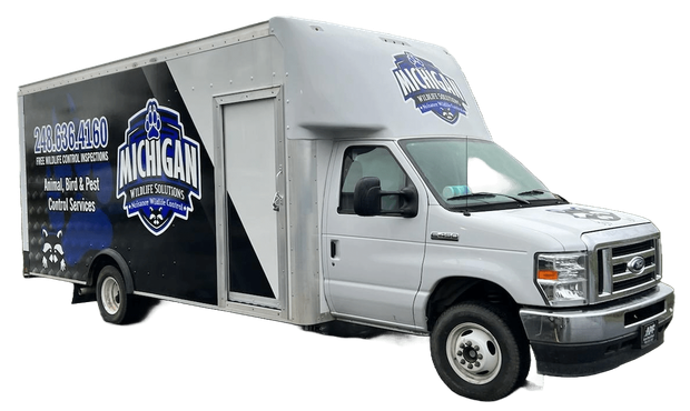 Michigan Wildlife Solutions - A michigan wildlife solutions truck with a black and blue