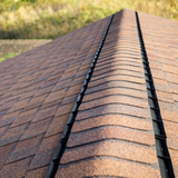 Michigan Wildlife Solutions - A close up of a roof with shingles and gutters