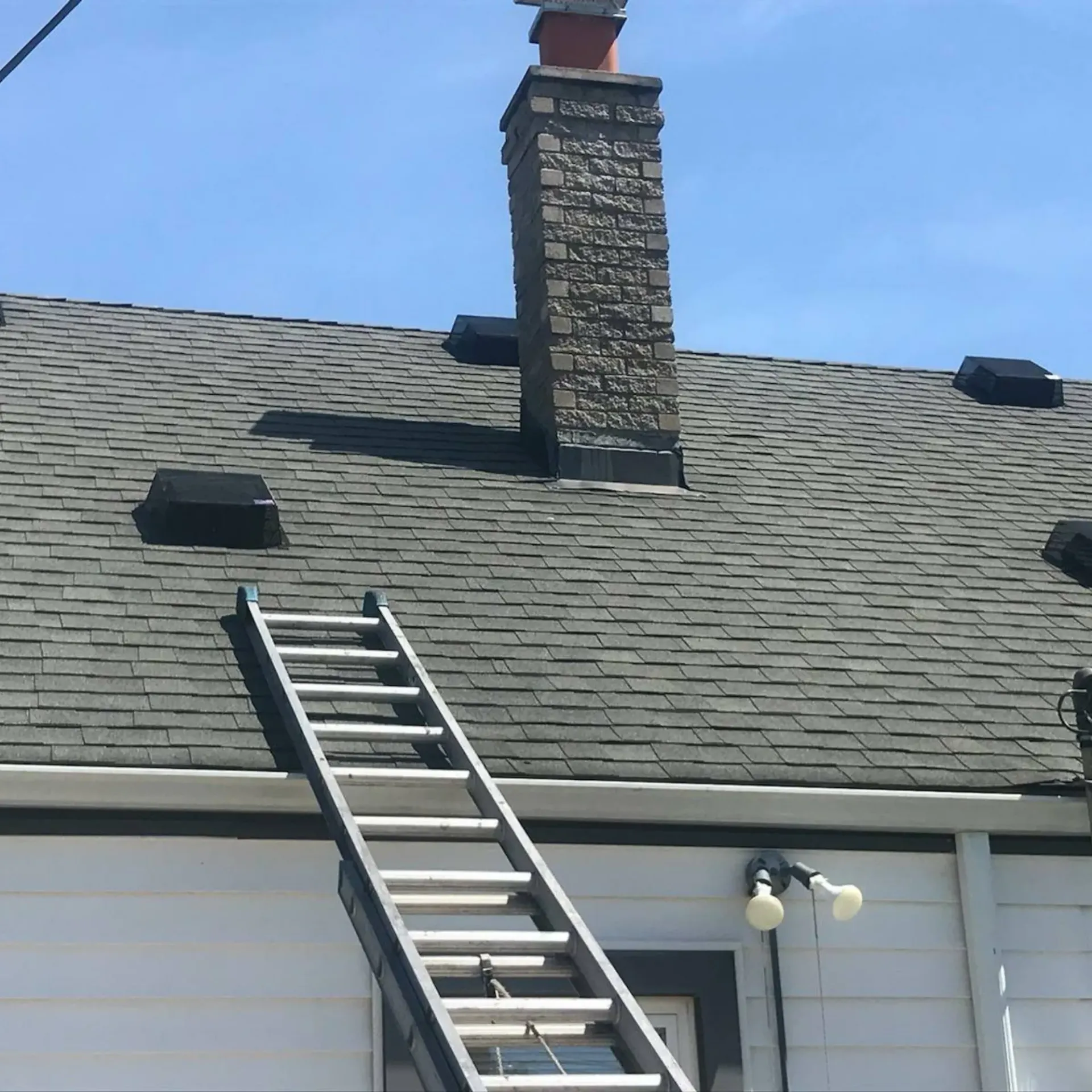 Michigan Wildlife Solutions - A ladder is sitting on top of a roof next to a chimney