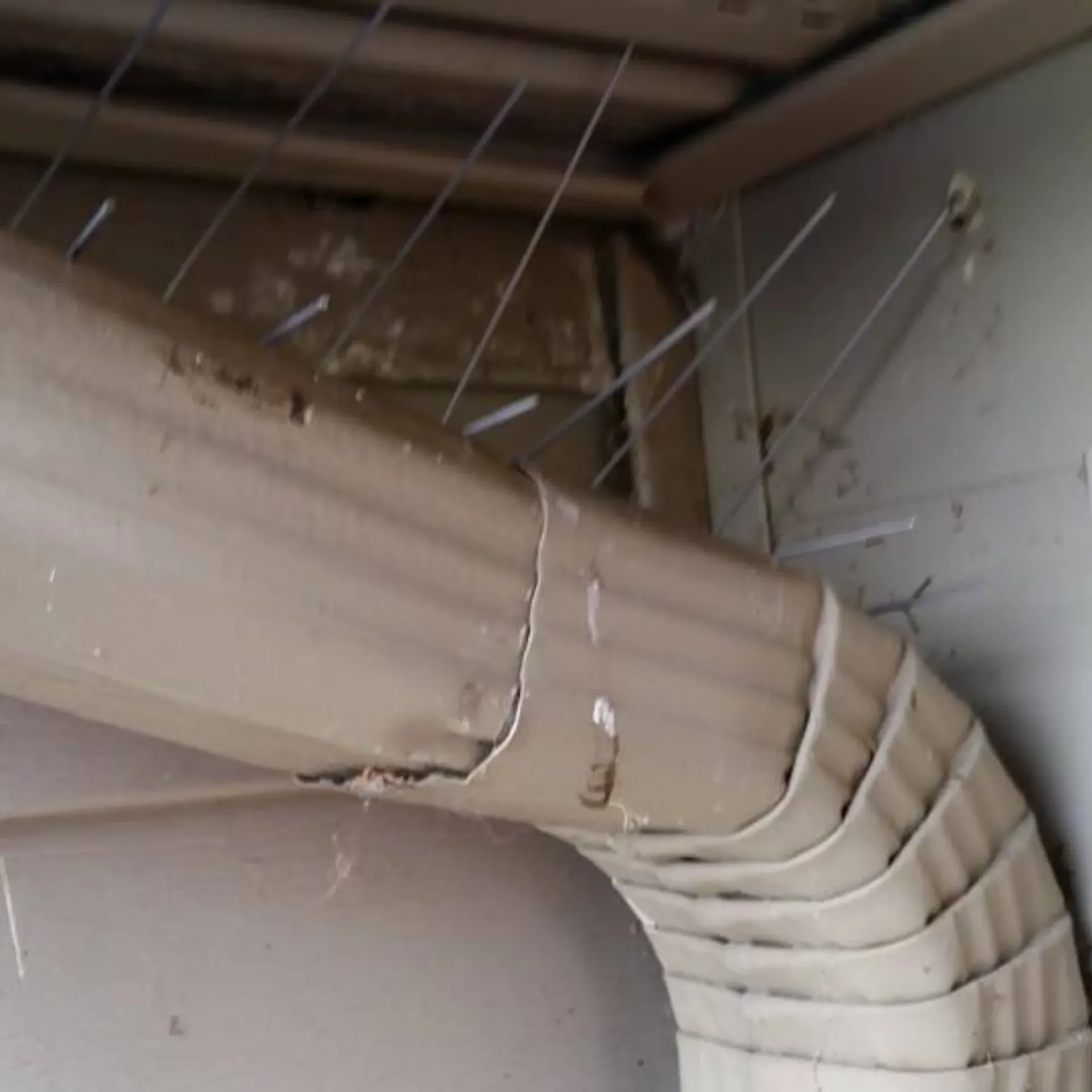 Michigan Wildlife Solutions - A close up of a drain pipe with nails sticking out of it