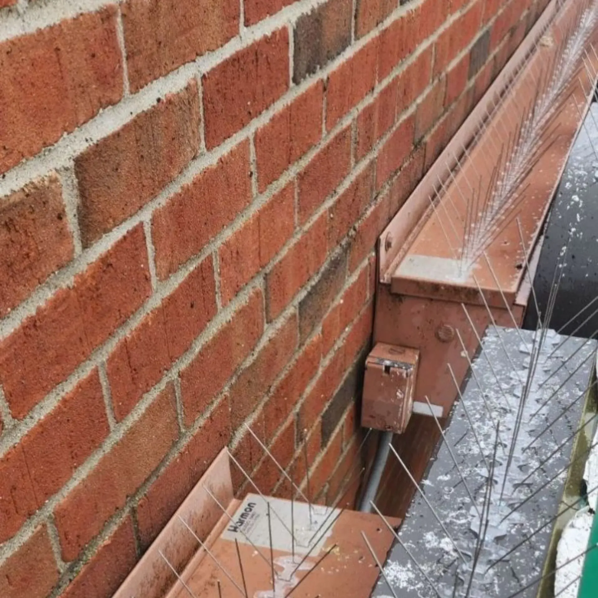 Michigan Wildlife Solutions - A brick wall with spikes on the side of it
