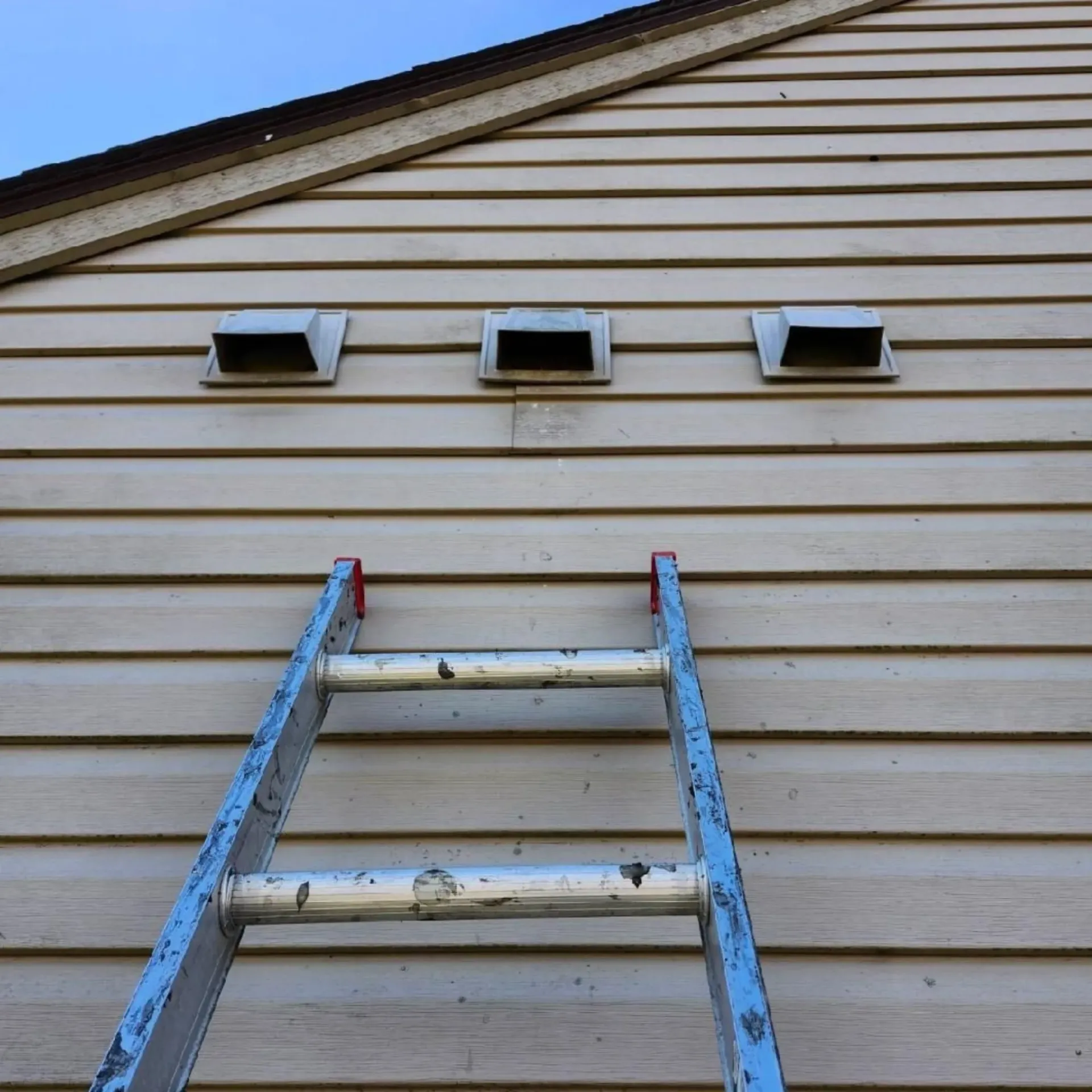 Michigan Wildlife Solutions - A ladder is leaning against the side of a house