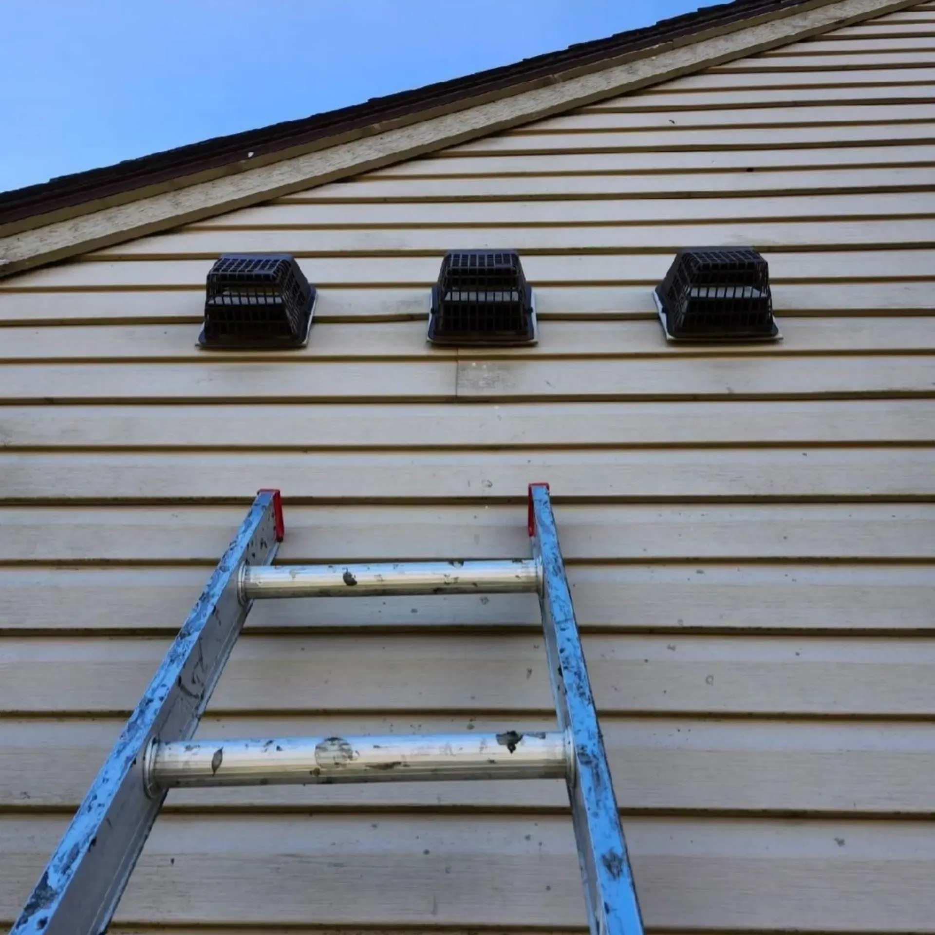 Michigan Wildlife Solutions - A ladder is leaning against the side of a house