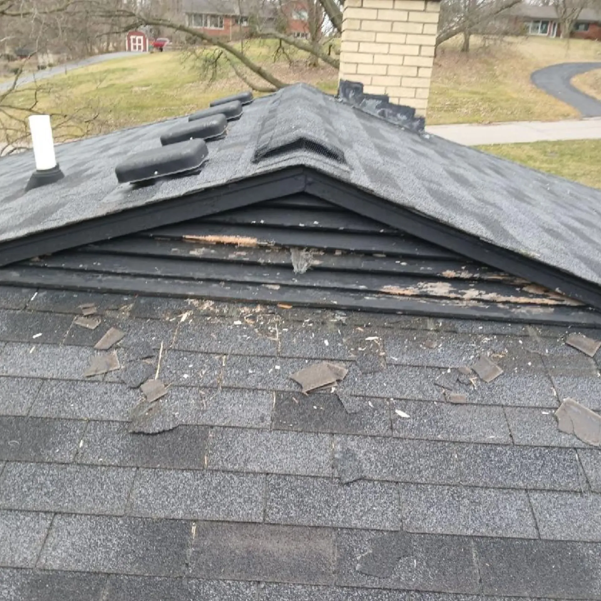 Michigan Wildlife Solutions - A roof with shingles missing and a chimney in the background