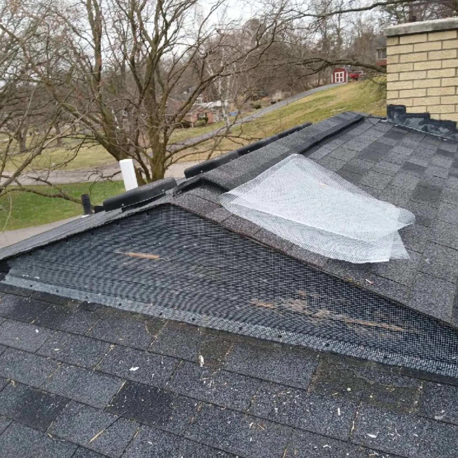 Michigan Wildlife Solutions - A roof with a hole in it and a piece of plastic on it.