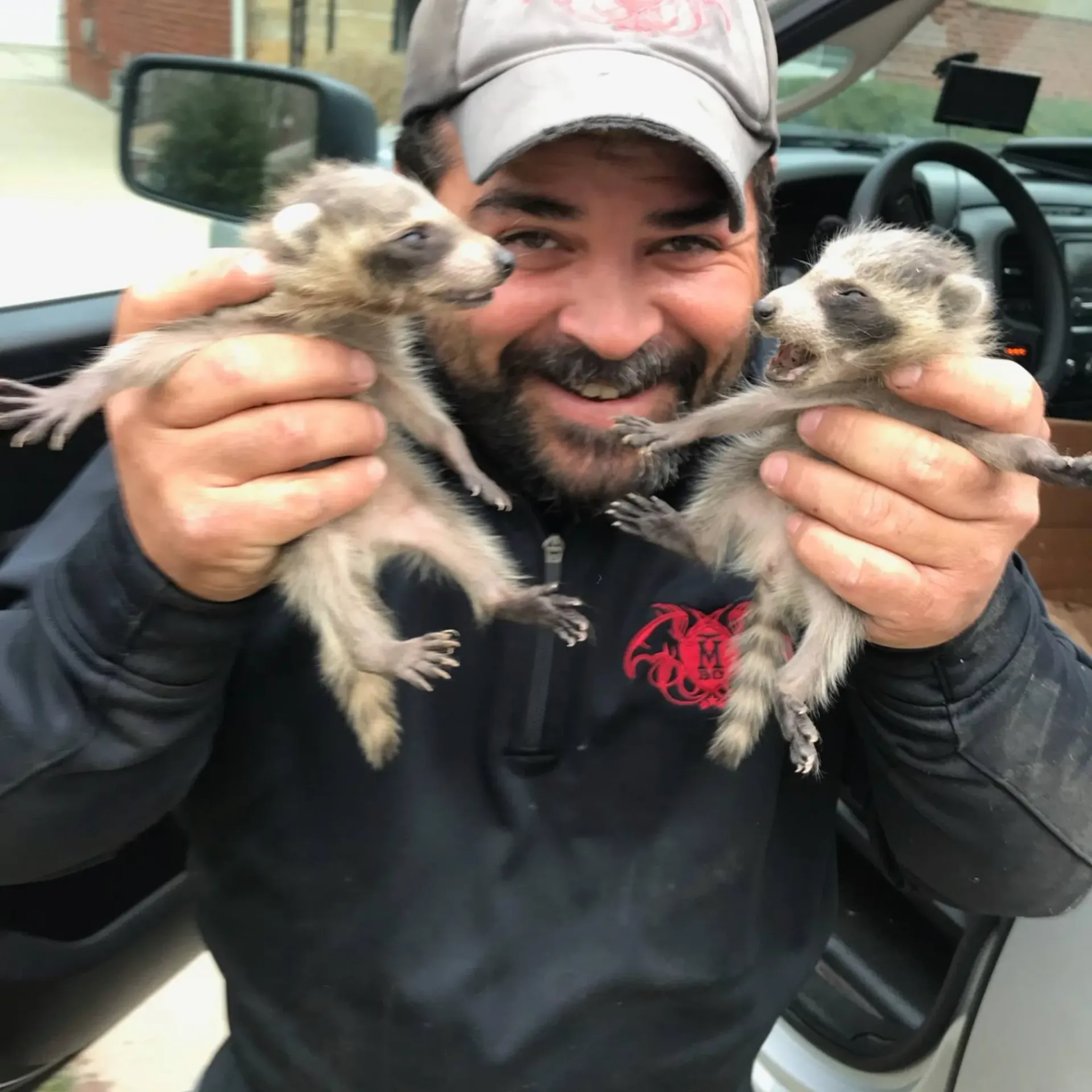 Michigan Wildlife Solutions - A man is holding two baby raccoons in his hands
