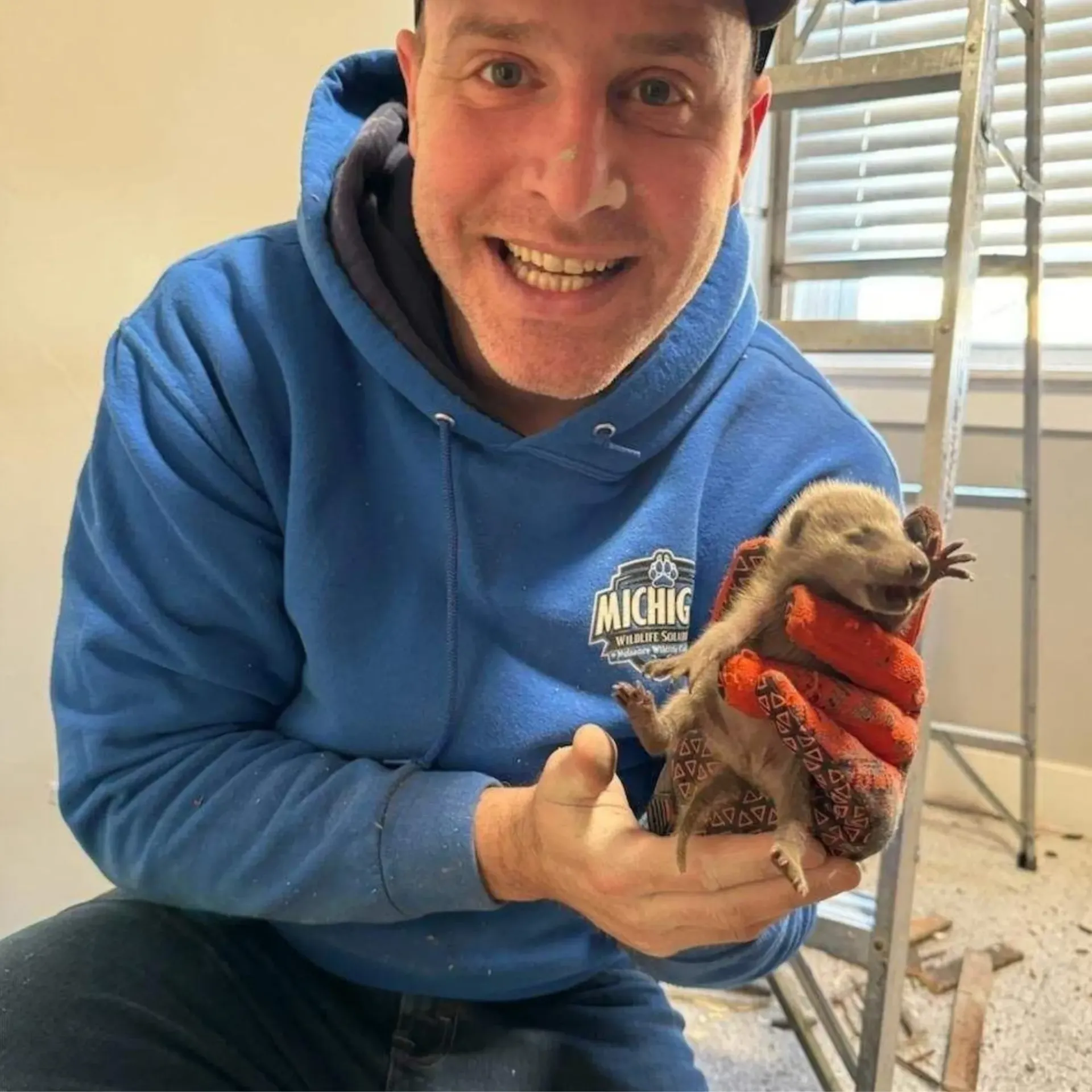 Michigan Wildlife Solutions - A man in a blue michigan sweatshirt is holding a small animal