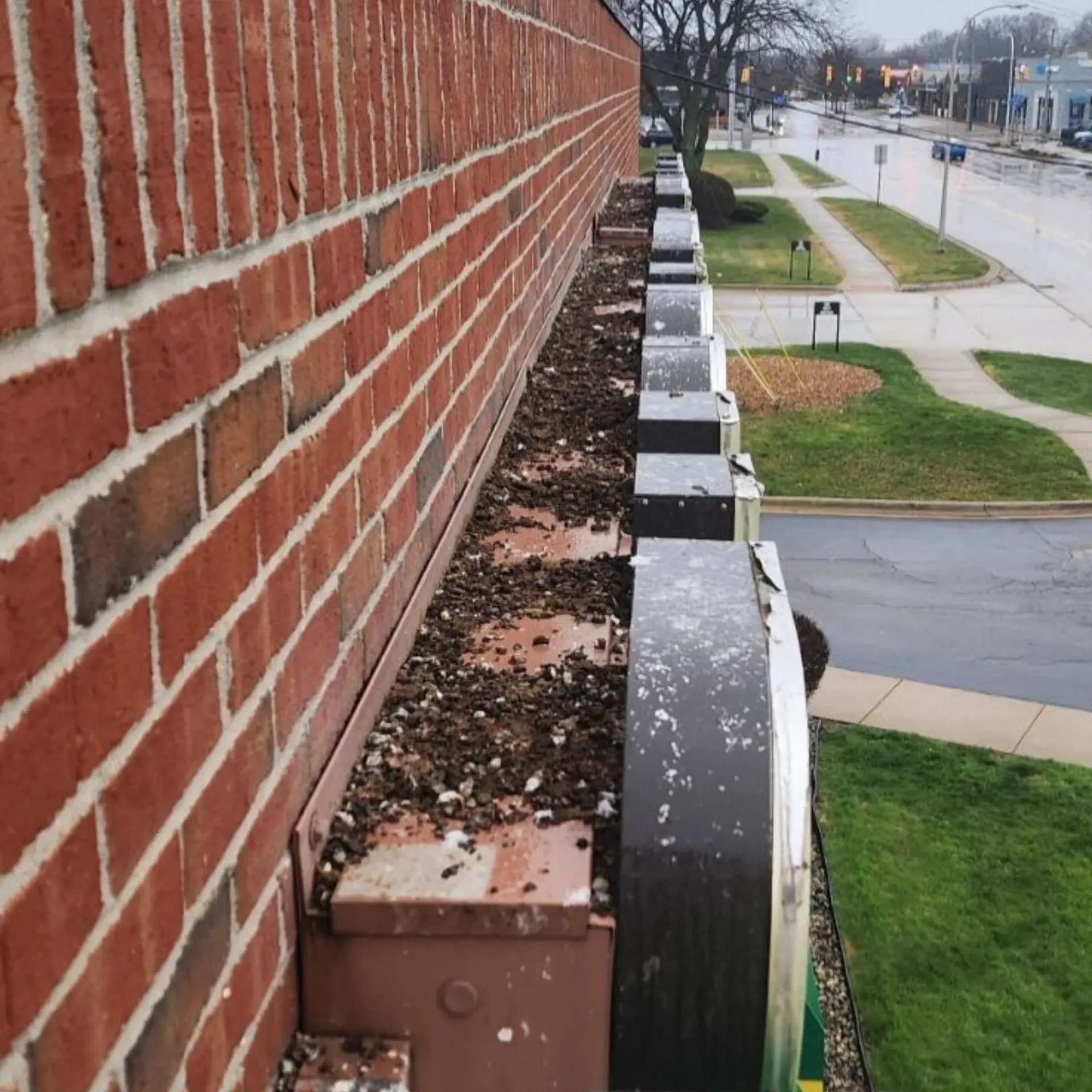 Michigan Wildlife Solutions - A brick wall with a few boxes on it