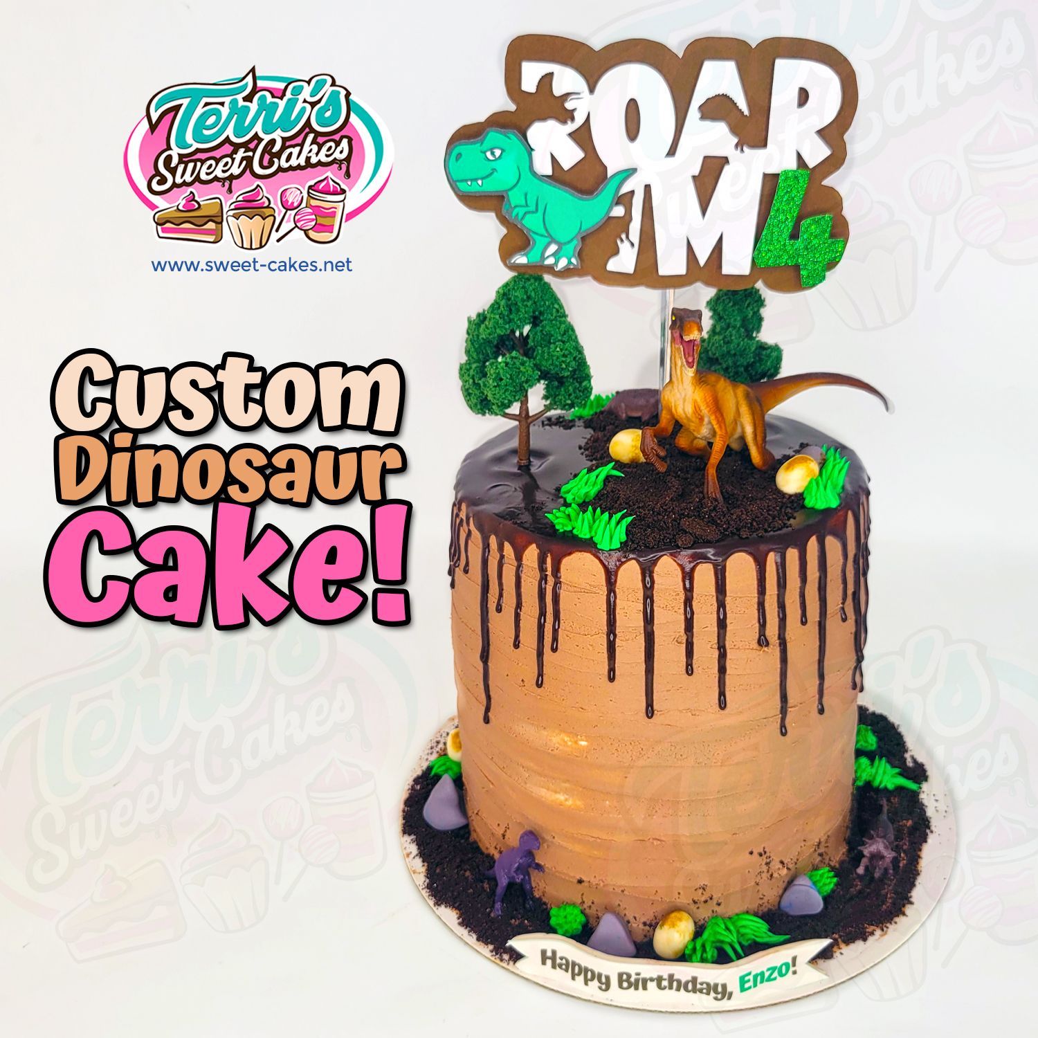Dinosaur Birthday Cake by Terri's Sweet Cakes!