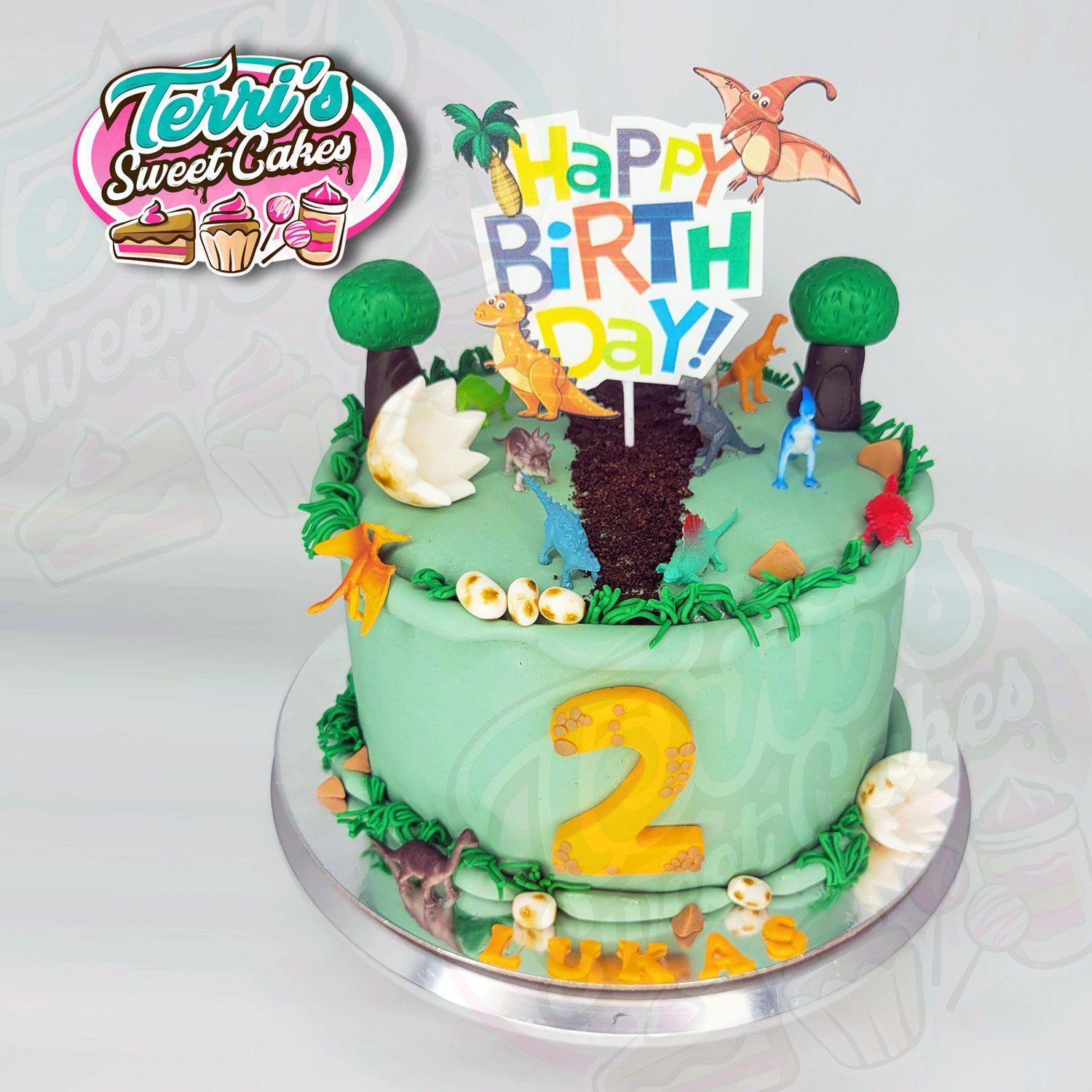 Dinosaur Birthday Cake by Terri's Sweet Cakes!