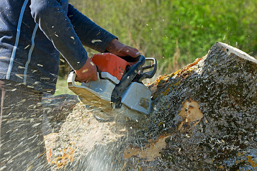 Commercial Tree Service
