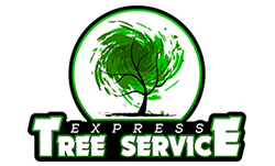 EXPRESS TREE SERVICES SYKESVILLE MARYLAND