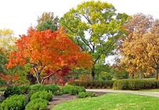 A park with trees that are changing colors in the fall