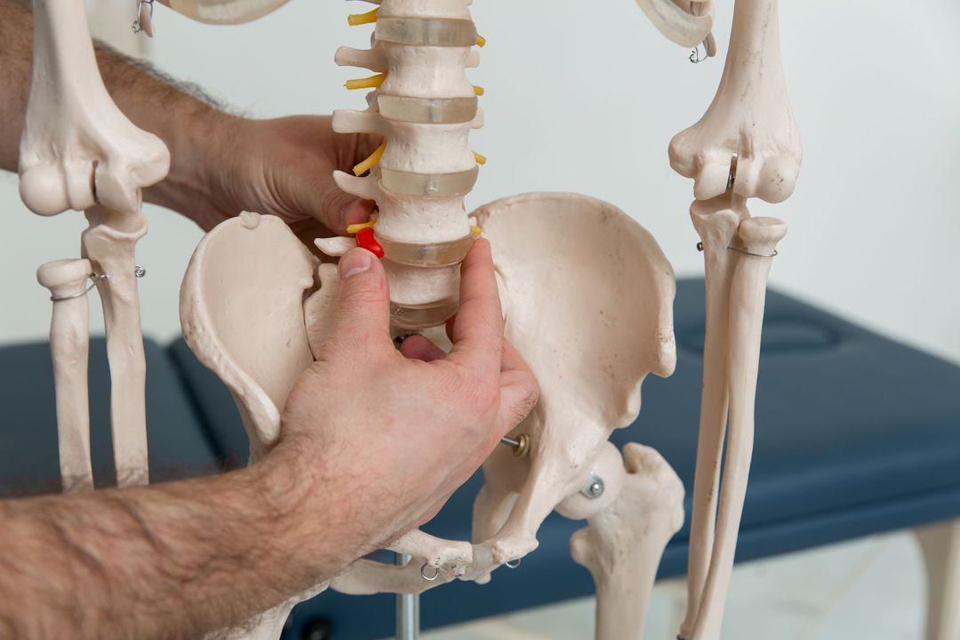 Chiropractic Care in Charlotte, NC