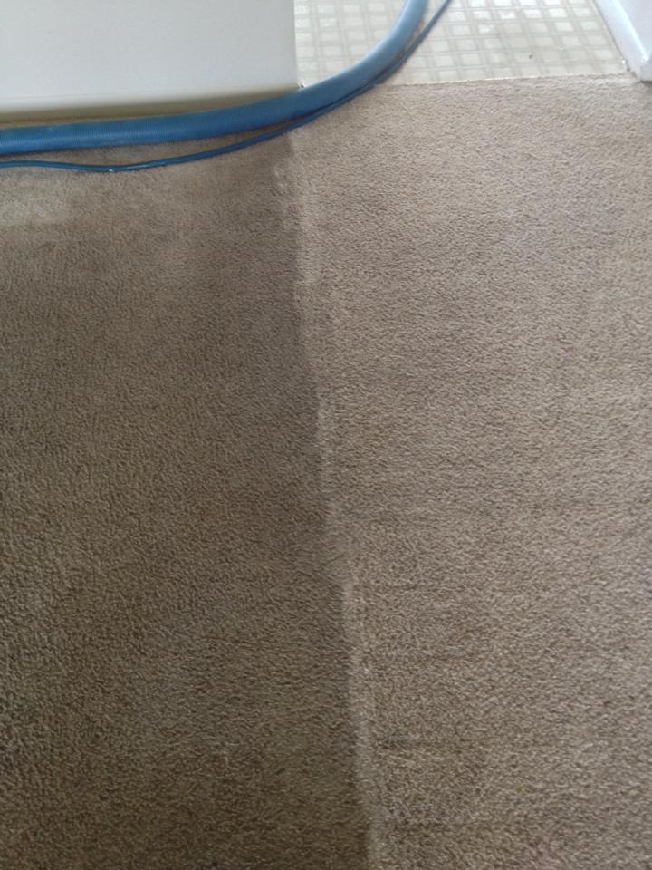 Carpet Cleaning Services Getzville, NY AAA Spectrum Carpet