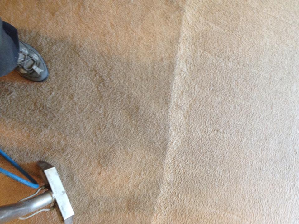 carpet cleaning AAA Spectrum Carpet & Upholstery Cleaning Getzville NY