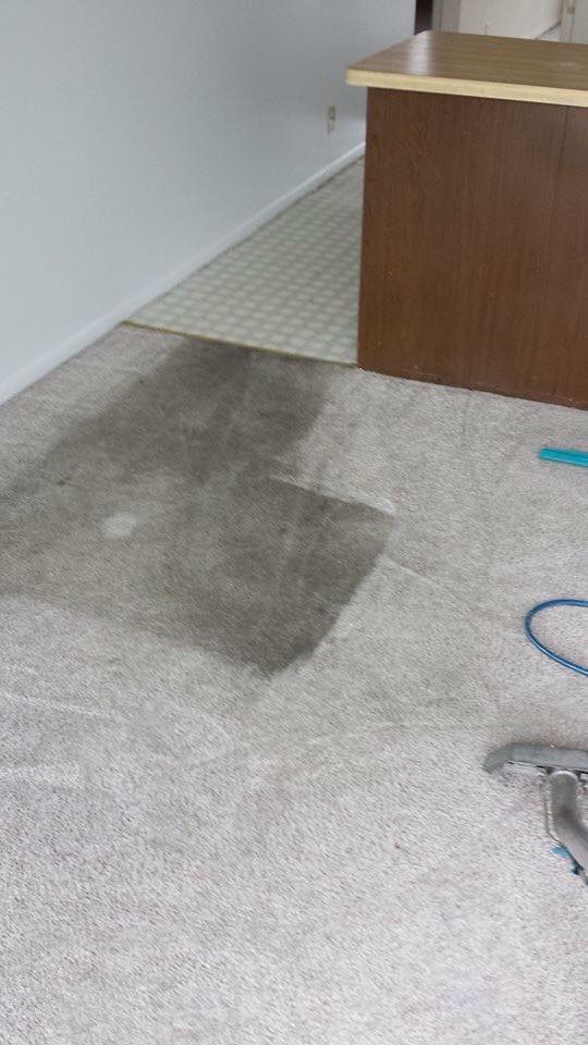 Carpet Cleaning Services Getzville, NY AAA Spectrum Carpet