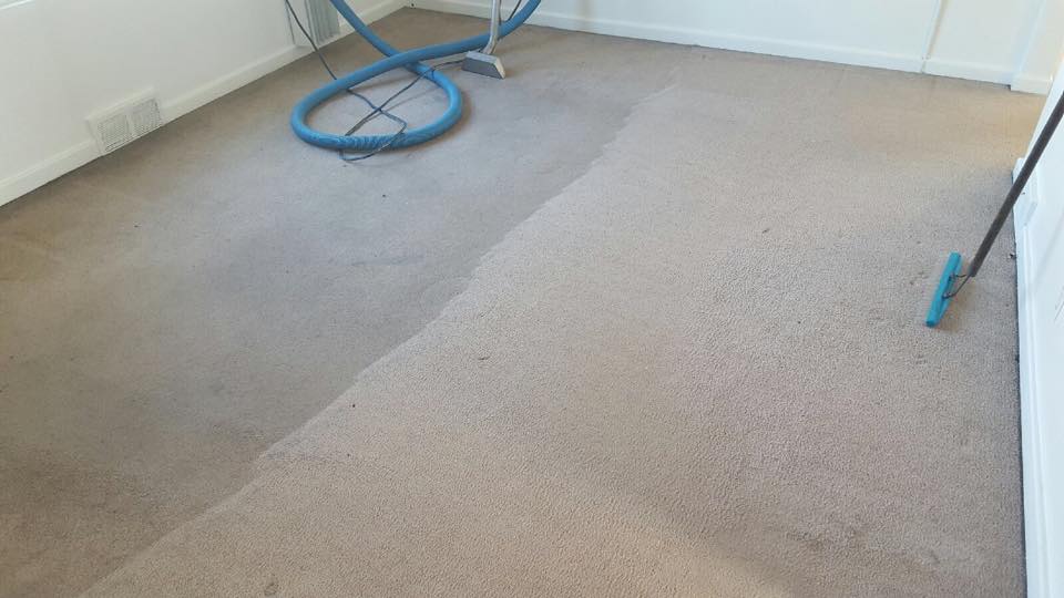 Carpet Cleaning Services Getzville, NY AAA Spectrum Carpet