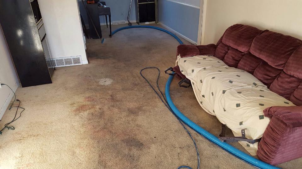 dirty carpet AAA Spectrum Carpet & Upholstery Cleaning Getzville NY