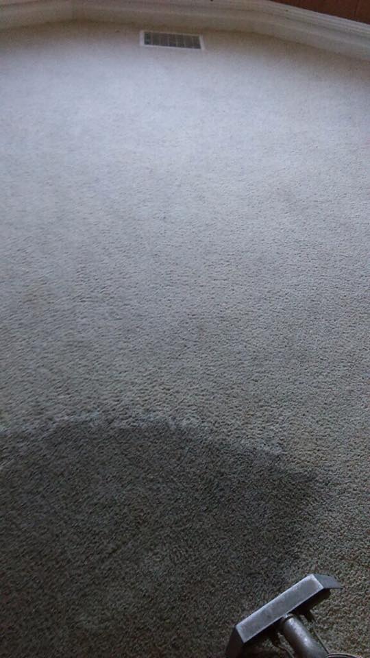Carpet Cleaning Services Getzville, NY AAA Spectrum Carpet