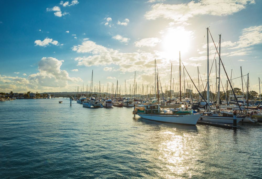 A Row Of Boats Are Docked In A Harbor On A Sunny Day — Suncoast Termite & Pest In Maroochydore, QLD
