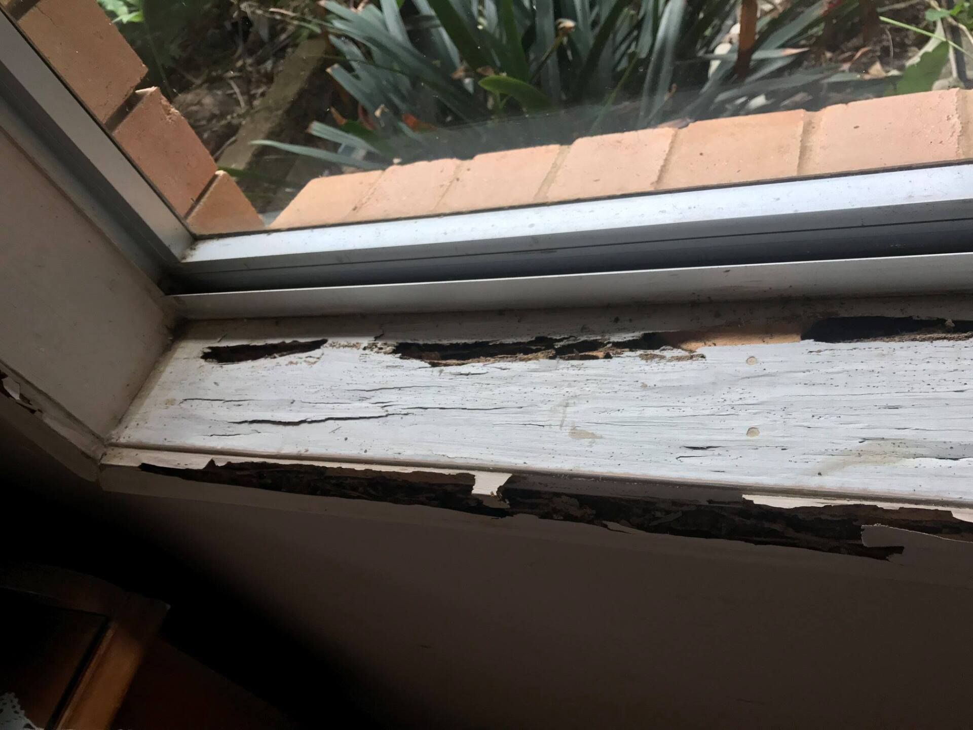 A Window Sill With Peeling Paint — Suncoast Termite & Pest In Nambour, QLD