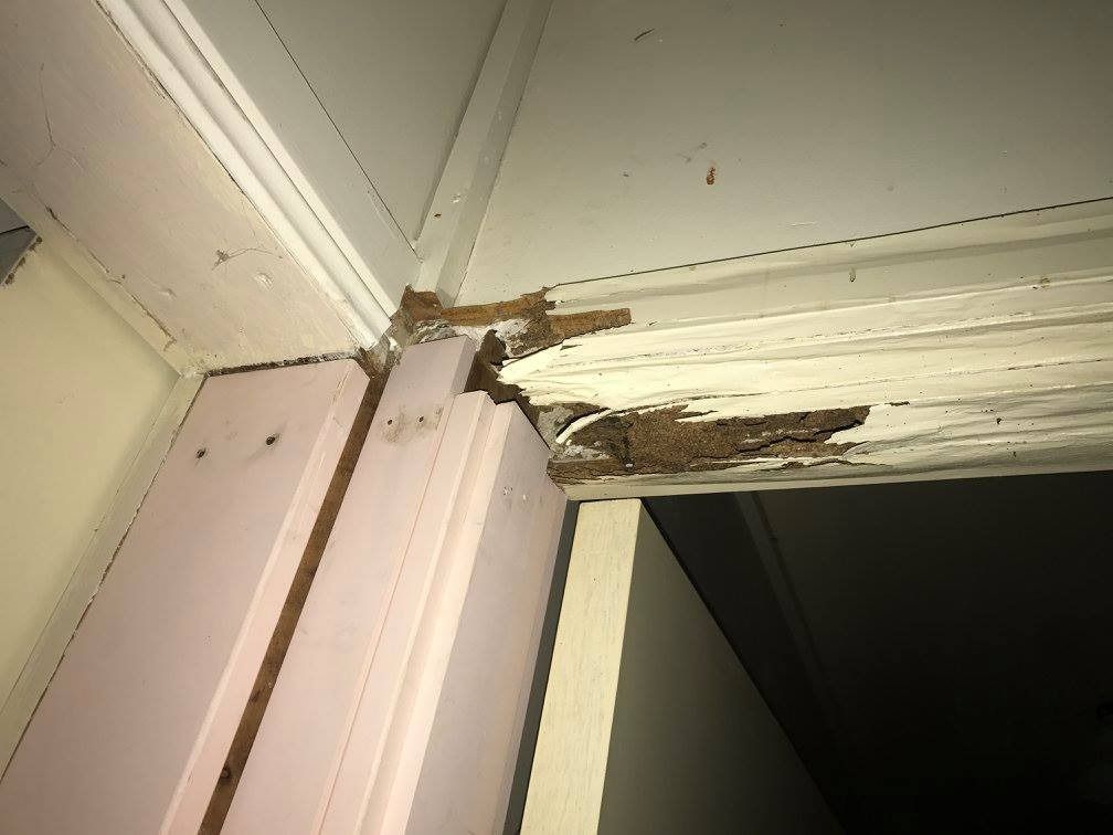 Termite Damaged Door Frame