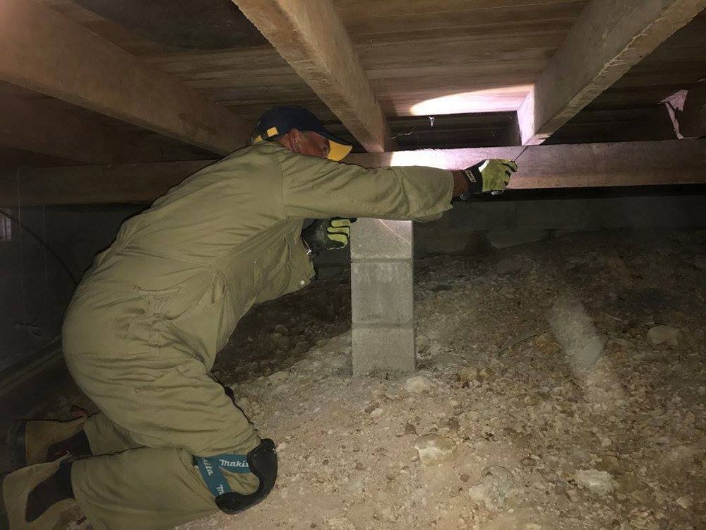 A Man Is Kneeling Under A Wooden Floor In A Basement — Suncoast Termite & Pest In Nambour, QLD