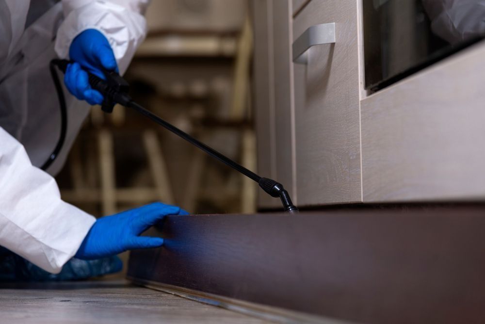 A Person Wearing Blue Gloves Is Spraying A Door With A Sprayer — Suncoast Termite & Pest In Nambour, QLD