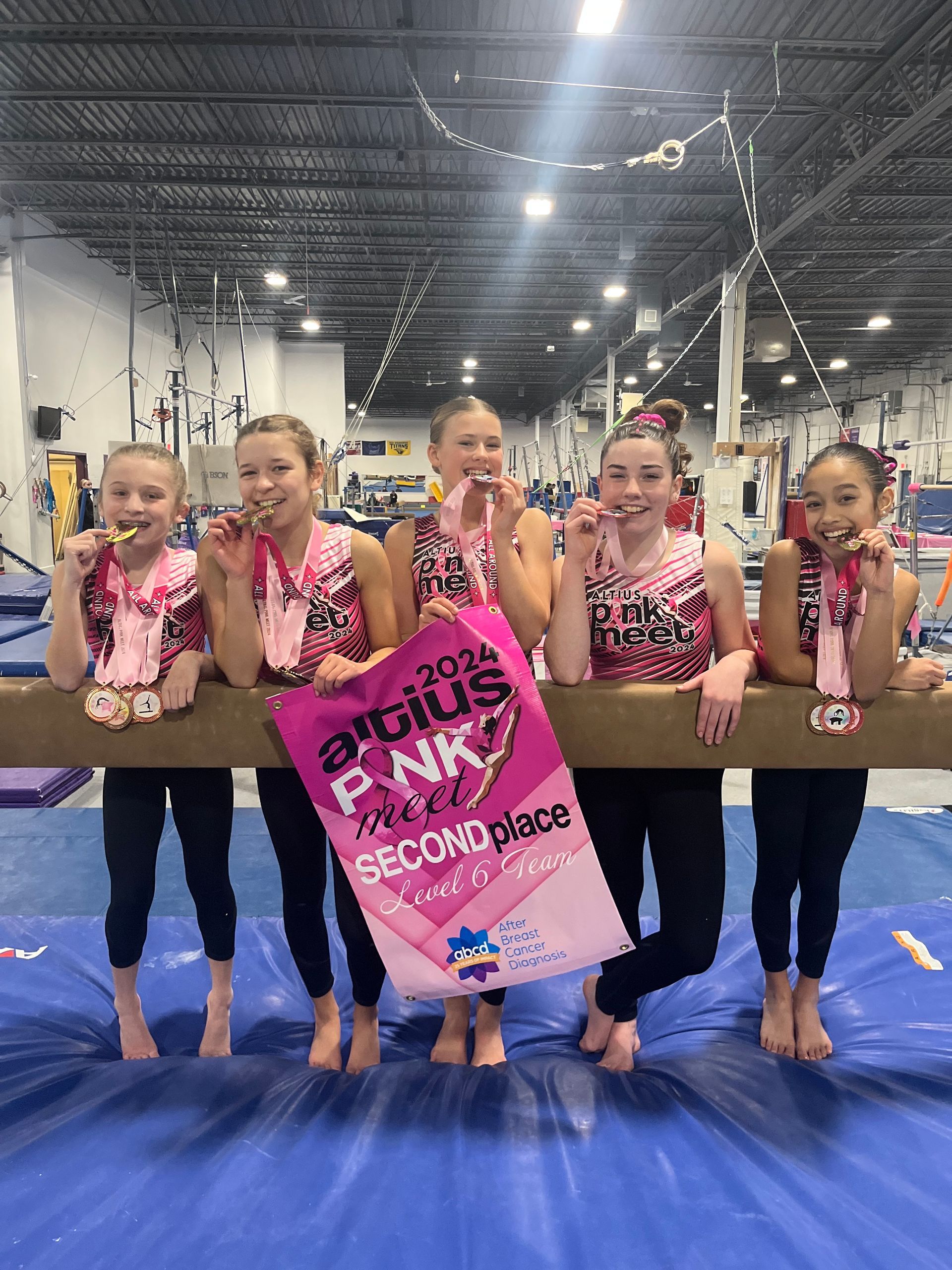 A group of young girls are standing next to each other on a balance beam.