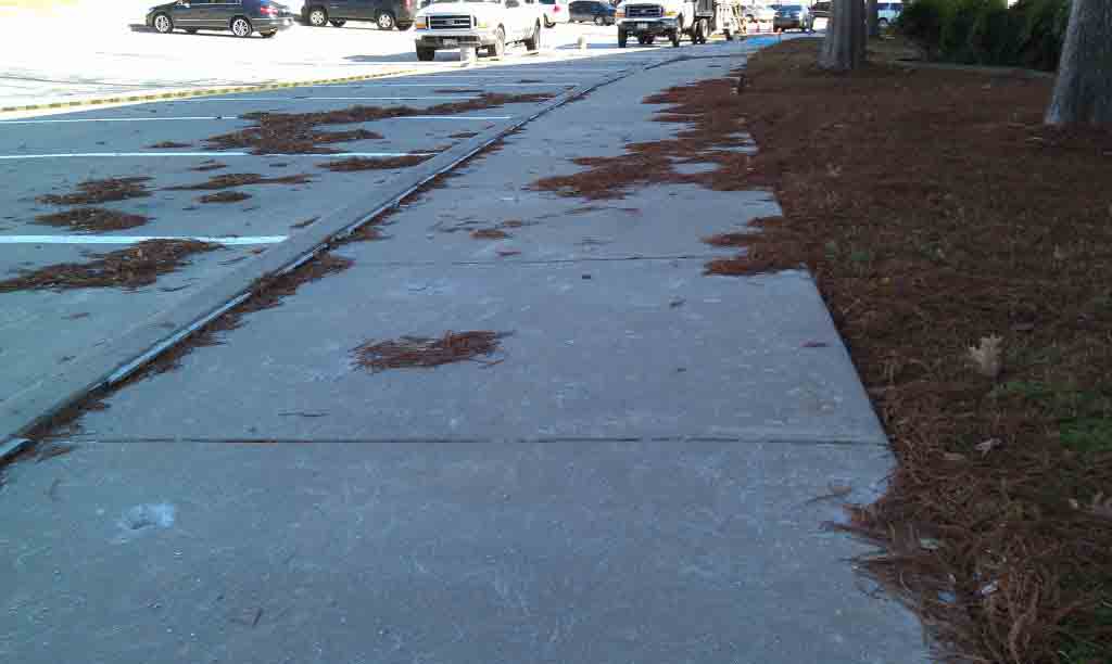 concrete walkway and curb