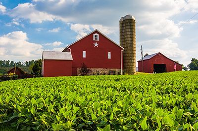 A red barn with a silo in the middle of a field of green plants.