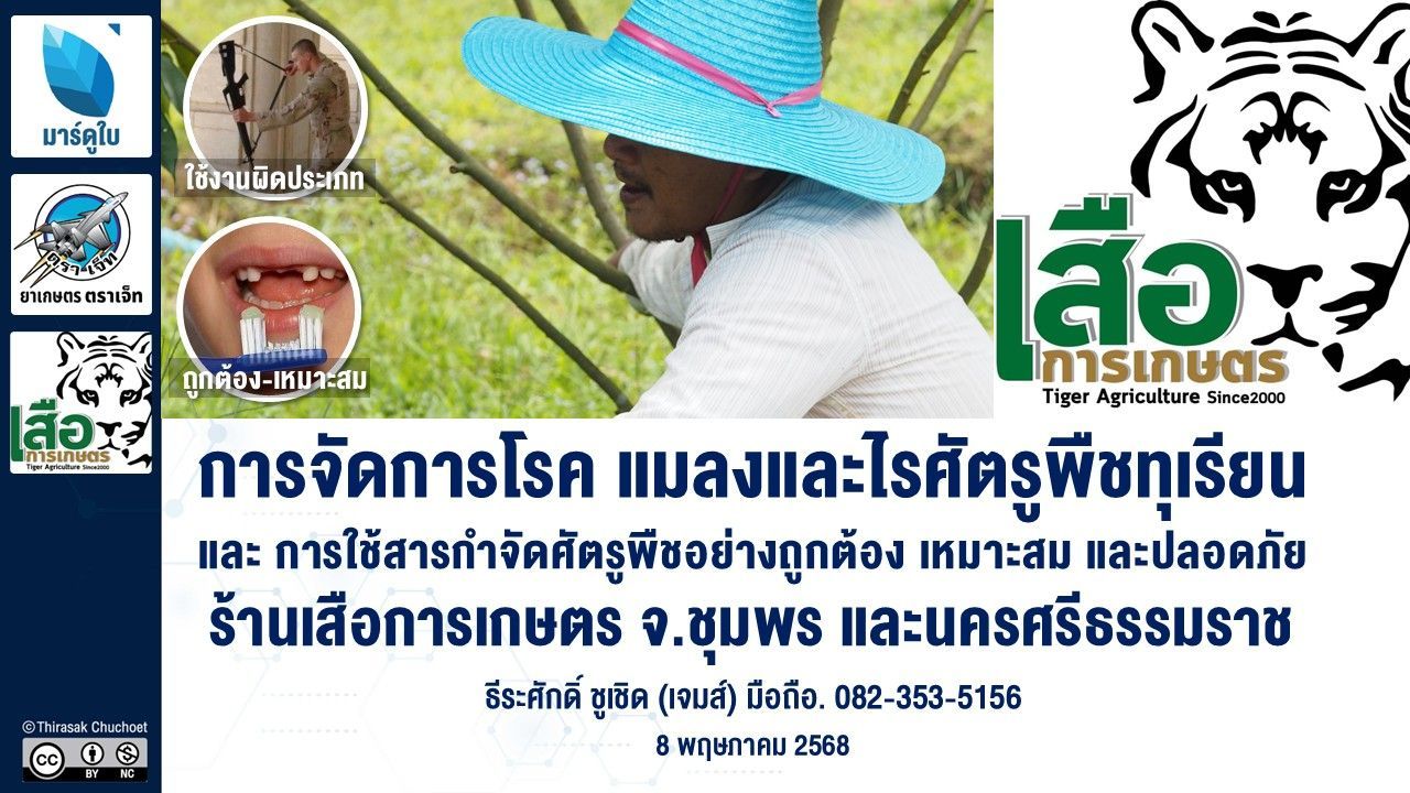เอกสารประกอบการบรรยาย 