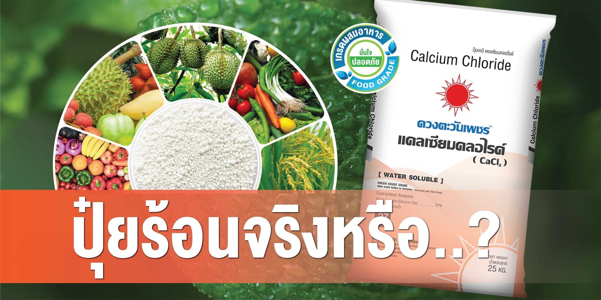 ปุ๋ยแคลเซียมคลอไรด์ไม่ใช่ปุ๋ยร้อน ดั่งการอุปมาอุปไมยเป็นยาร้อน-ยาเย็น