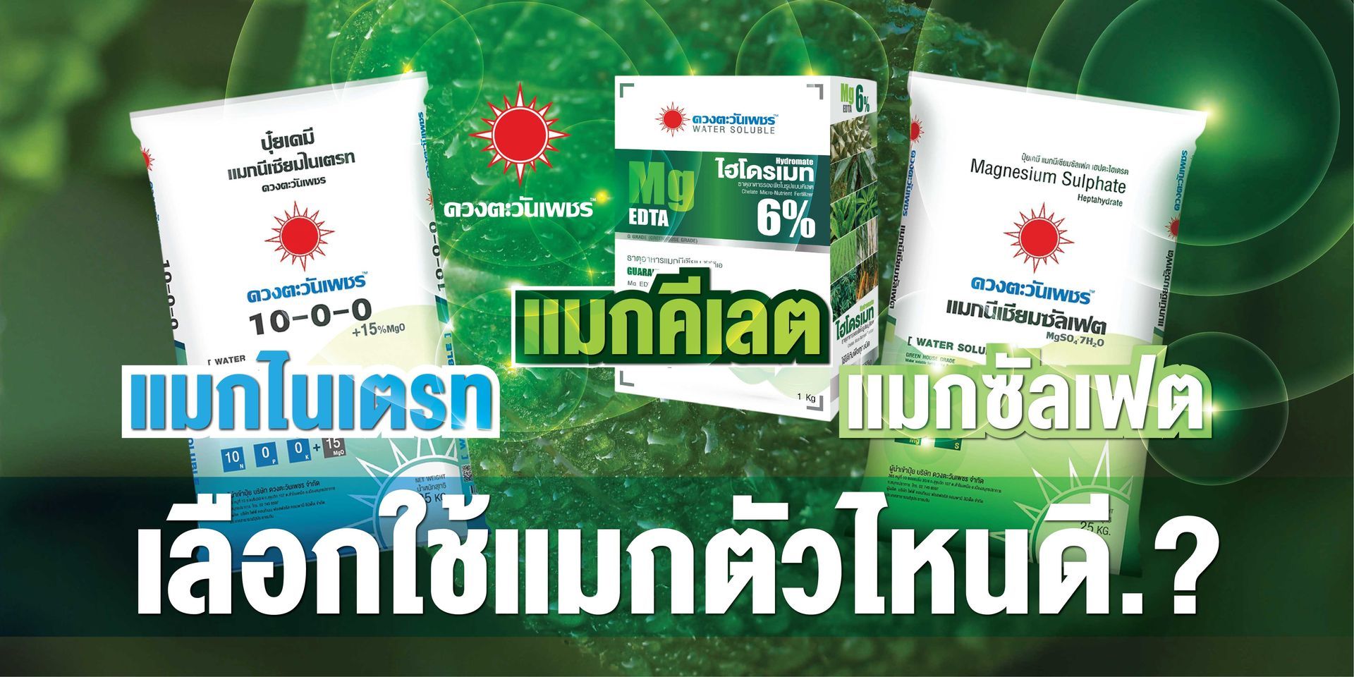 เลือกใช้แมกนีเซียม (Mg) ตัวไหนดี.. ระหว่างแมกนีเซียมไนเตรท, แมกนีเซียมซัลเฟตเฮพตะไฮเดรต หรือแมกคีเลต