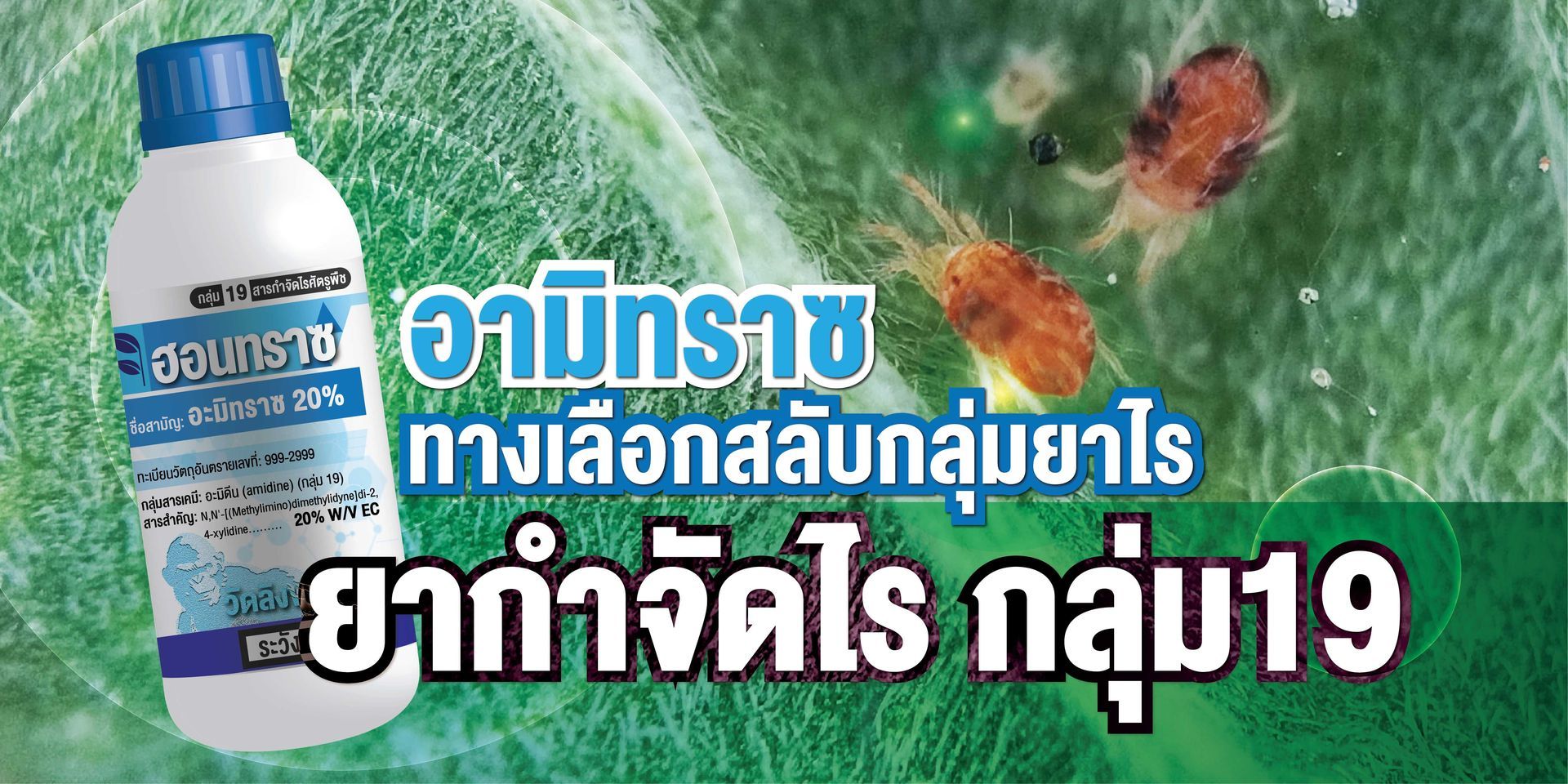 กลไกออกฤทธิ์ (Mode of Action) ของยากลุ่ม 19 ทำให้ไรเกิดอาการตื่นตัว ใจเต้นแรง สั่นและความดันขึ้นสูง