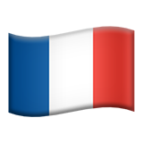 A France Flag on a white background