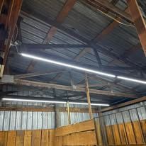 The ceiling of a barn with a lot of lights hanging from it.