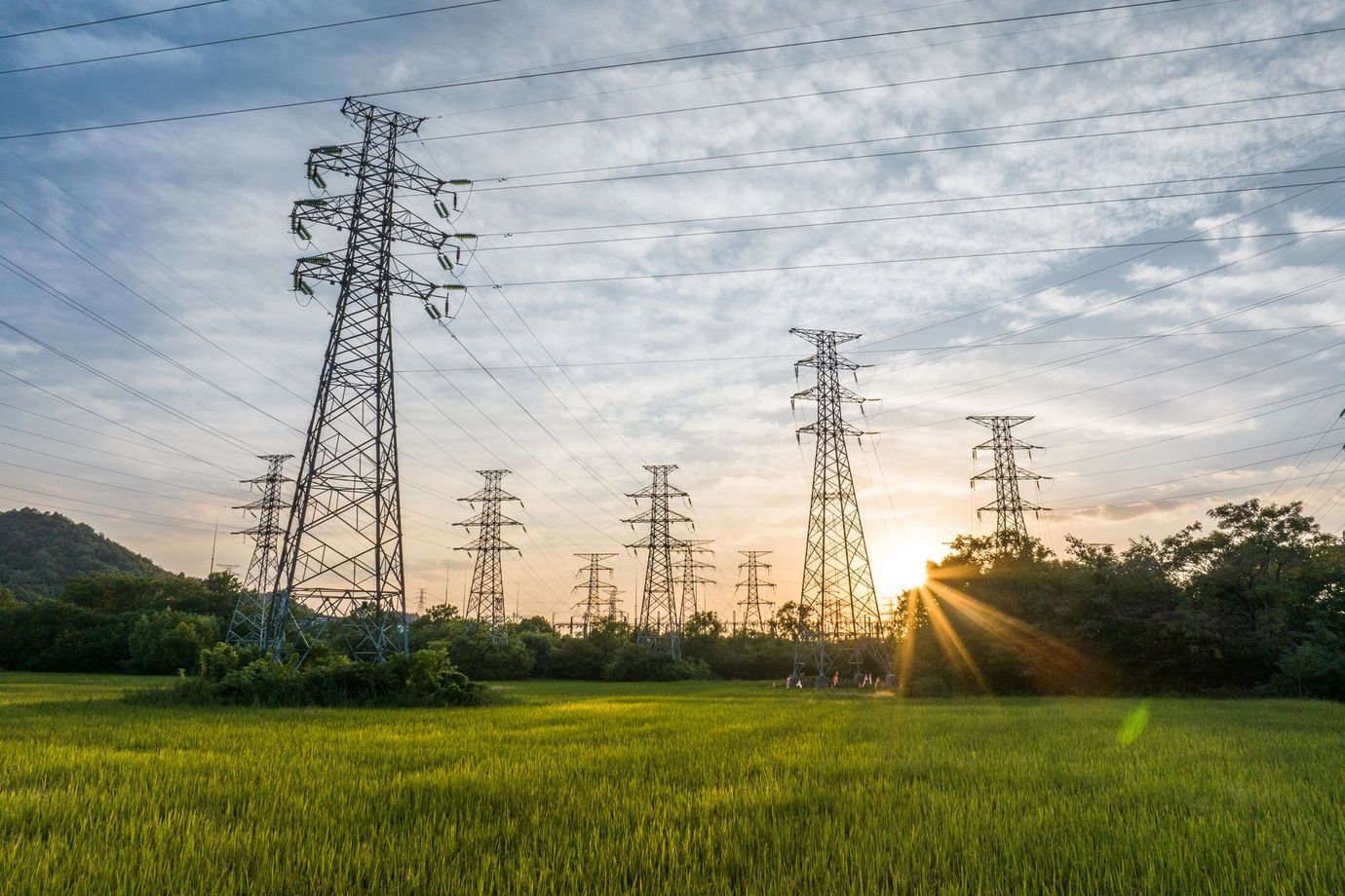 A row of power lines in a field with the sun shining through them.