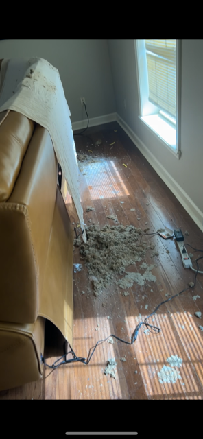 A living room with a couch and a window with a lot of trash on the floor.