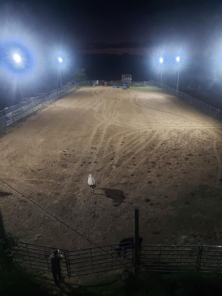 An aerial view of a rodeo arena at night.