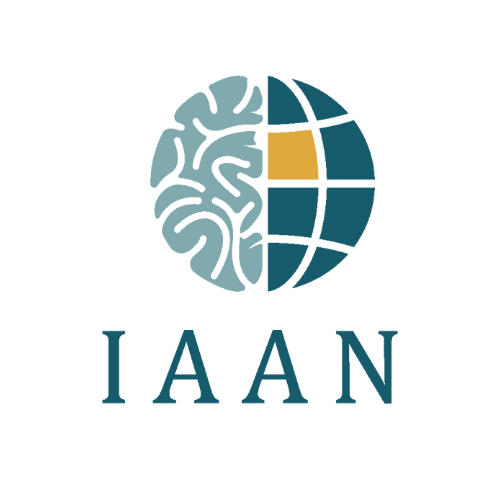 The logo for iaan is a globe with a brain in the middle.